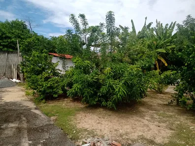 Casa com 4 Quartos para venda ou aluguel, 250m² no Barra de Jangada, Jaboatão dos Guararapes