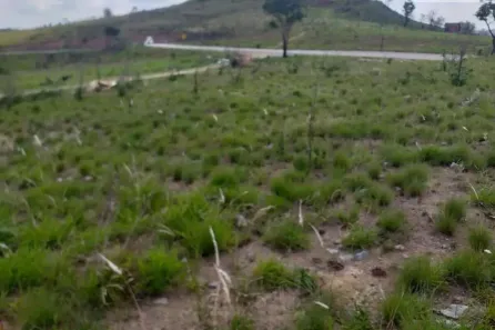 Terreno / Lote / Condomínio com 1 Quarto à venda, 77500m² no Dona Catarina, Mairinque