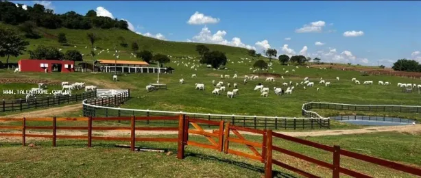 Terreno / Lote Comercial à venda, 1766600m² no Uraí, Uraí
