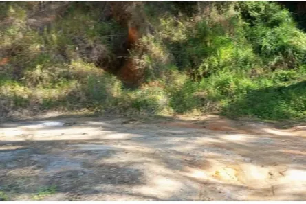 Terreno / Lote / Condomínio à venda, 417m² no Banquete, Bom Jardim