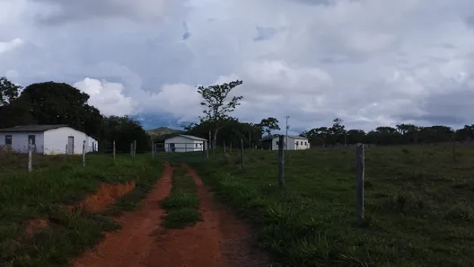 Fazenda / Sítio / Chácara com 5 Quartos à venda, 69m² no Área Rural de Formosa, Formosa