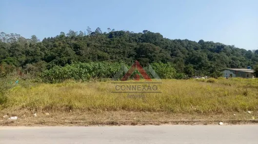 Terreno / Lote / Condomínio à venda, 8000m² no Vila São Pedro, Suzano