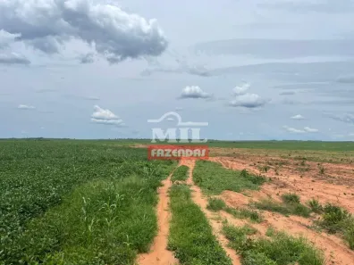 Fazenda / Sítio / Chácara à venda, 20000m² no , Pedro Afonso