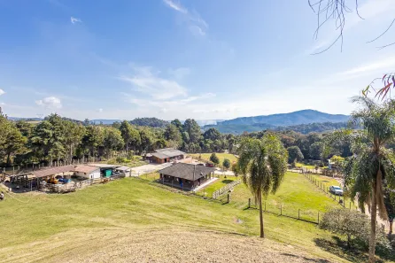 Fazenda / Sítio / Chácara com 2 Quartos à venda, 21306m² no Felpudo, Campo Largo