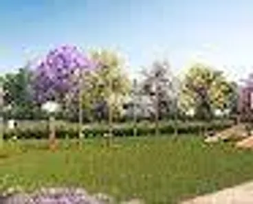 Terreno / Lote / Condomínio à venda, 176m² no , Elias Fausto