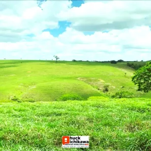 Fazenda / Sítio / Chácara à venda, 586000m² no Centro, Nossa Senhora das Dores