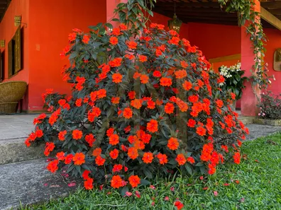 Fazenda / Sítio / Chácara com 6 Quartos à venda, 1557435m² no Visconde de Mauá, Resende