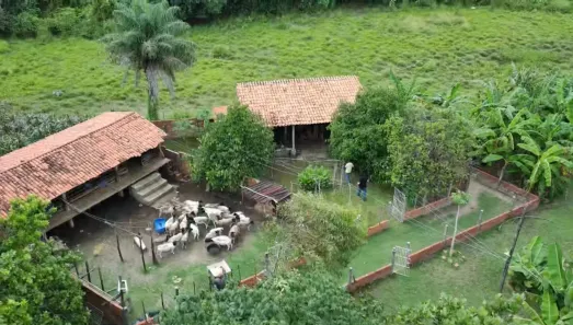Fazenda / Sítio / Chácara com 4 Quartos à venda, 12000000m² no Centro, Altos
