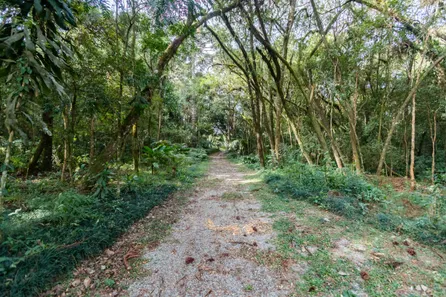 Fazenda / Sítio / Chácara à venda, 31500m² no Guarani, Colombo
