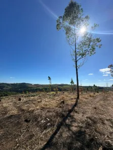 Casa de Condomínio com 3 Quartos à venda, 500m² no Ibiúna, Ibiúna