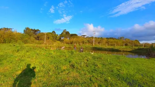 Fazenda / Sítio / Chácara à venda, 32800m² no , Tijucas do Sul