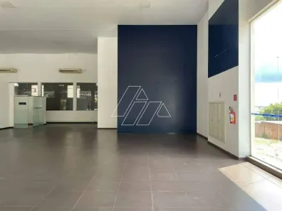 Loja / Salão / Ponto Comercial para alugar, 1500m² no Jardim Tangará, Marília