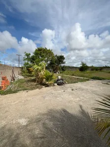 Fazenda / Sítio / Chácara com 2 Quartos à venda, 2800m² no Santa Rita, Marechal Deodoro