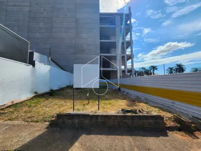 Terreno / Lote / Condomínio para alugar, 266m² no Marília, Marília