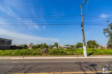 Terreno / Lote Comercial à venda, 3750m² no Arroio da Manteiga, São Leopoldo