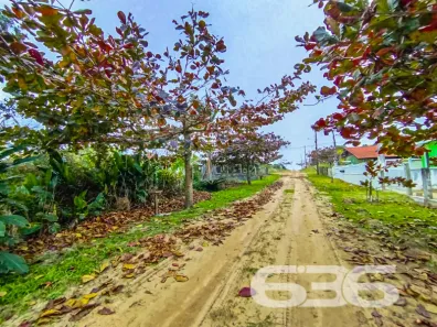 Terreno / Lote / Condomínio à venda, 300m² no Praia do Ervino, 