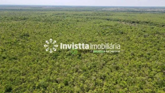 Fazenda / Sítio / Chácara à venda, 530m² no Centro, Pium