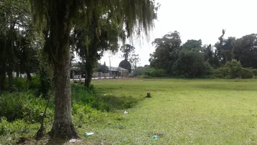 Terreno / Lote / Condomínio à venda, 94095m² no Alexandra, Paranaguá