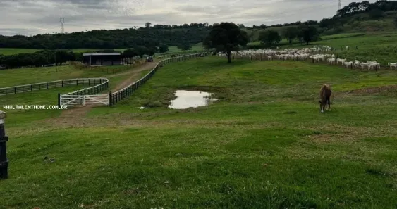 Terreno / Lote Comercial à venda, 1766600m² no Uraí, Uraí
