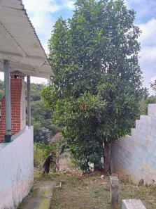 Fazenda / Sítio / Chácara com 3 Quartos à venda, 1000m² no Parque Rodrigo Barreto, Arujá