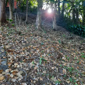Fazenda / Sítio / Chácara com 2 Quartos à venda, 3050m² no Califórnia da Barra, Barra do Piraí