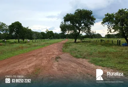 Fazenda / Sítio / Chácara à venda, 1950m² no , Paraíso do Tocantins