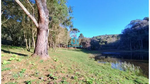 Fazenda / Sítio / Chácara à venda, 20000m² no Três Córregos, Campo Largo