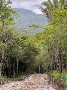 Terreno / Lote / Condomínio à venda, 100m² no , Pacoti