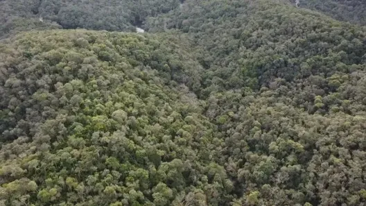 Fazenda / Sítio / Chácara à venda, 290400m² no , Antonina