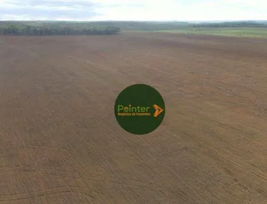Fazenda / Sítio / Chácara à venda, 100000m² no , Pedro Afonso