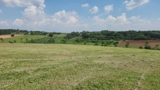 Terreno / Lote / Condomínio à venda, 2497m² no Tupinambá, Porto Feliz