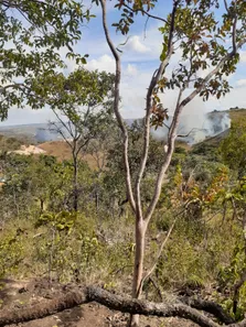 Fazenda / Sítio / Chácara à venda, 8010m² no Chácaras Quedas do Descoberto, Águas Lindas de Goiás