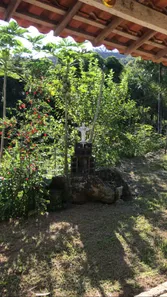 Fazenda / Sítio / Chácara à venda, 677600m² no Cabral, Resende