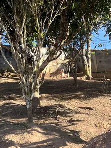 Fazenda / Sítio / Chácara com 3 Quartos à venda, 111m² no IGARATA, Igaratá