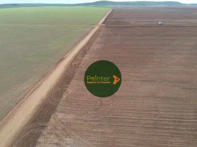 Fazenda / Sítio / Chácara à venda, 100000m² no , Pedro Afonso