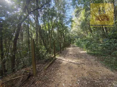 Terreno / Lote / Condomínio à venda, 240000m² no Itaqui de Cima, Campo Largo
