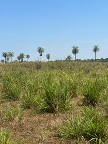 Fazenda / Sítio / Chácara à venda, 136m² no Setor Central, Cristalândia