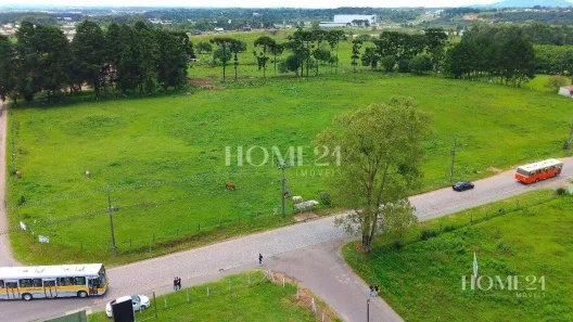 Terreno / Lote / Condomínio para alugar, 20750m² no Rio Pequeno, São José dos Pinhais