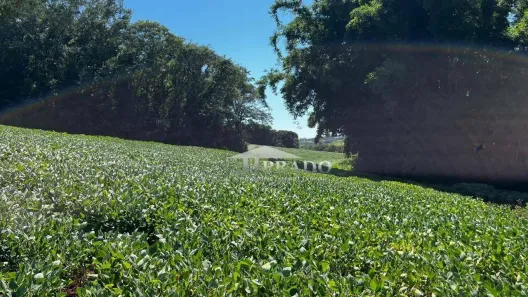 Fazenda / Sítio / Chácara à venda, 188518m² no Seção Timbori, Uraí