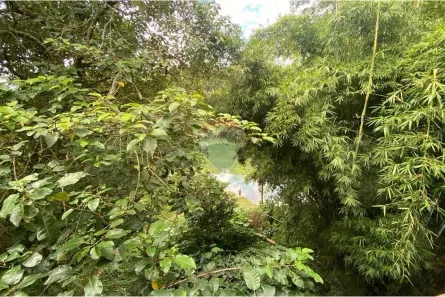 Loja / Salão / Ponto Comercial para alugar, 317m² no Juqueri Mirim, Mairiporã