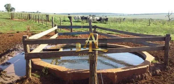 Fazenda / Sítio / Chácara com 1 Quarto à venda, 100m² no Centro, Campo Grande