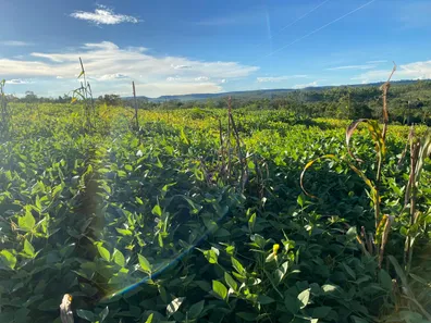 Fazenda / Sítio / Chácara com 2 Quartos à venda, 70000m² no , Brasília