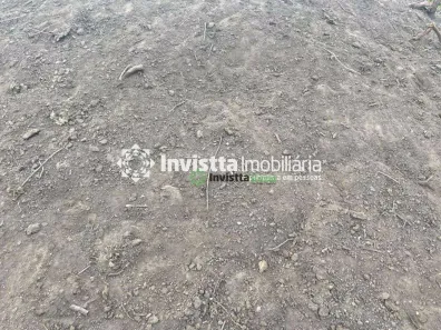 Fazenda / Sítio / Chácara à venda, 1040m² no Centro, Lagoa da Confusão