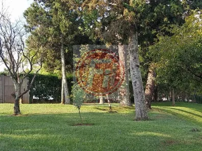 Fazenda / Sítio / Chácara com 4 Quartos à venda, 400m² no Canto das Águas, 