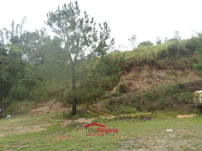 Fazenda / Sítio / Chácara com 3 Quartos à venda, 500m² no Vila Velha, Caçapava