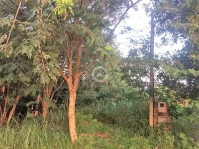 Terreno / Lote / Condomínio à venda, 700m² no Caminhos de San Conrado (Sousas), Campinas
