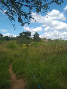 Fazenda / Sítio / Chácara com 4 Quartos à venda, 20000m² no , Feira Nova