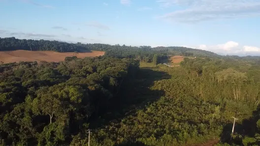 Fazenda / Sítio / Chácara à venda, 44000m² no Área Rural de Almirante Tamandaré, Almirante Tamandaré