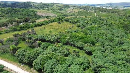 Fazenda / Sítio / Chácara à venda, 140000m² no , Chã Grande