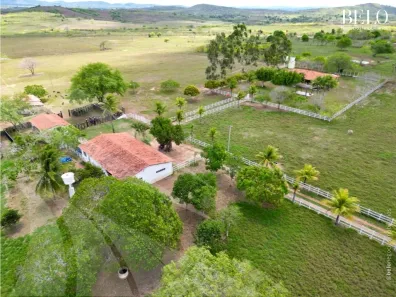 Fazenda / Sítio / Chácara à venda, 150000m² no , Feira Nova